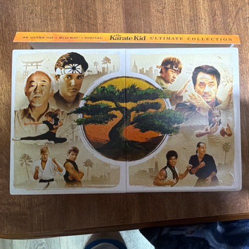 The karate kid - karate,