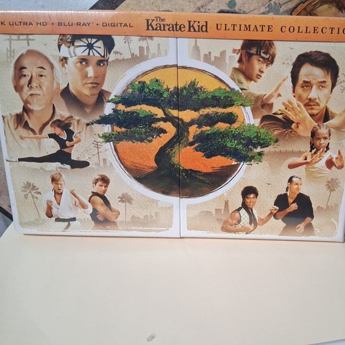 The karate kid ultimate - karate,