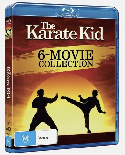 The karate kid movie - the,