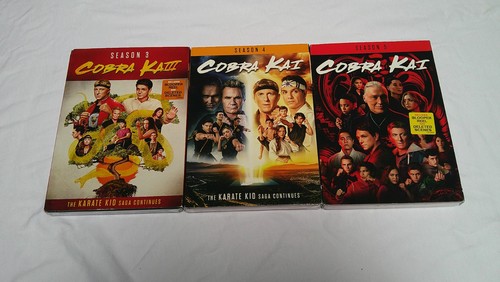 Cobra kai seasons 5 - kai,