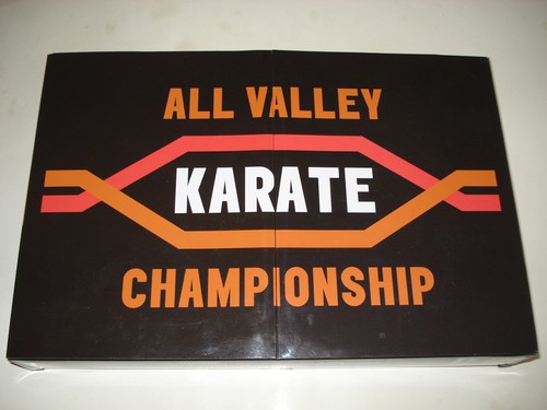 The karate kid cobra kai - kid, comp