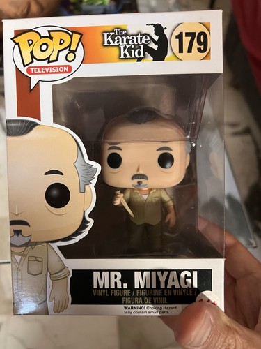 Miyagi the karate kid - the,