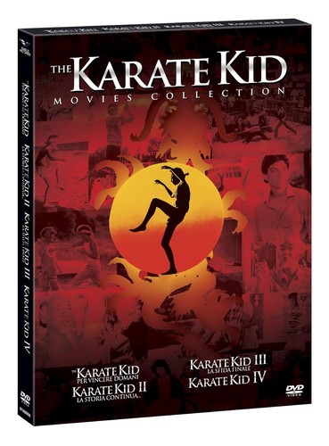Dvd karate kid the - the, movies