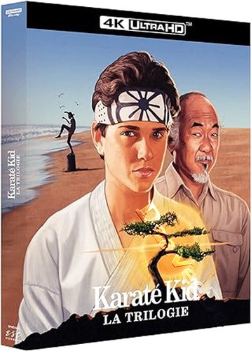 The karate kid trilogy - karate, 4k