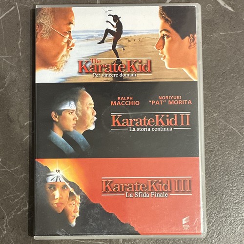 Sony pictures the karate kid - the,