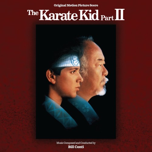 Karate kid expanded - karate,