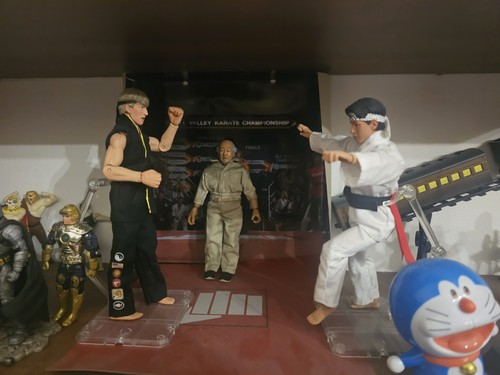 Neca the karate kid set - set, action