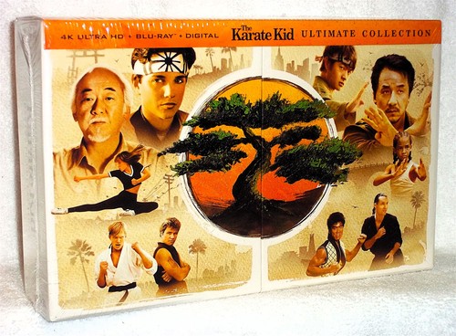 The karate kid ultimate - karate,