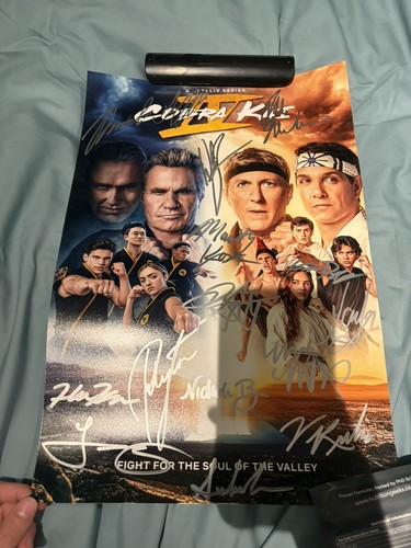 Cobra kai karate - karate, poster