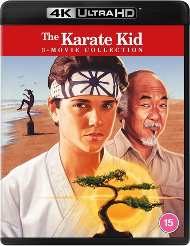 The karate kid movie - the, kid: