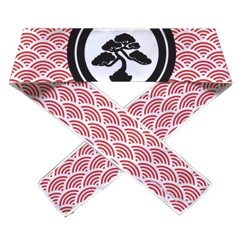 Fascia karate kid legends - fascia,